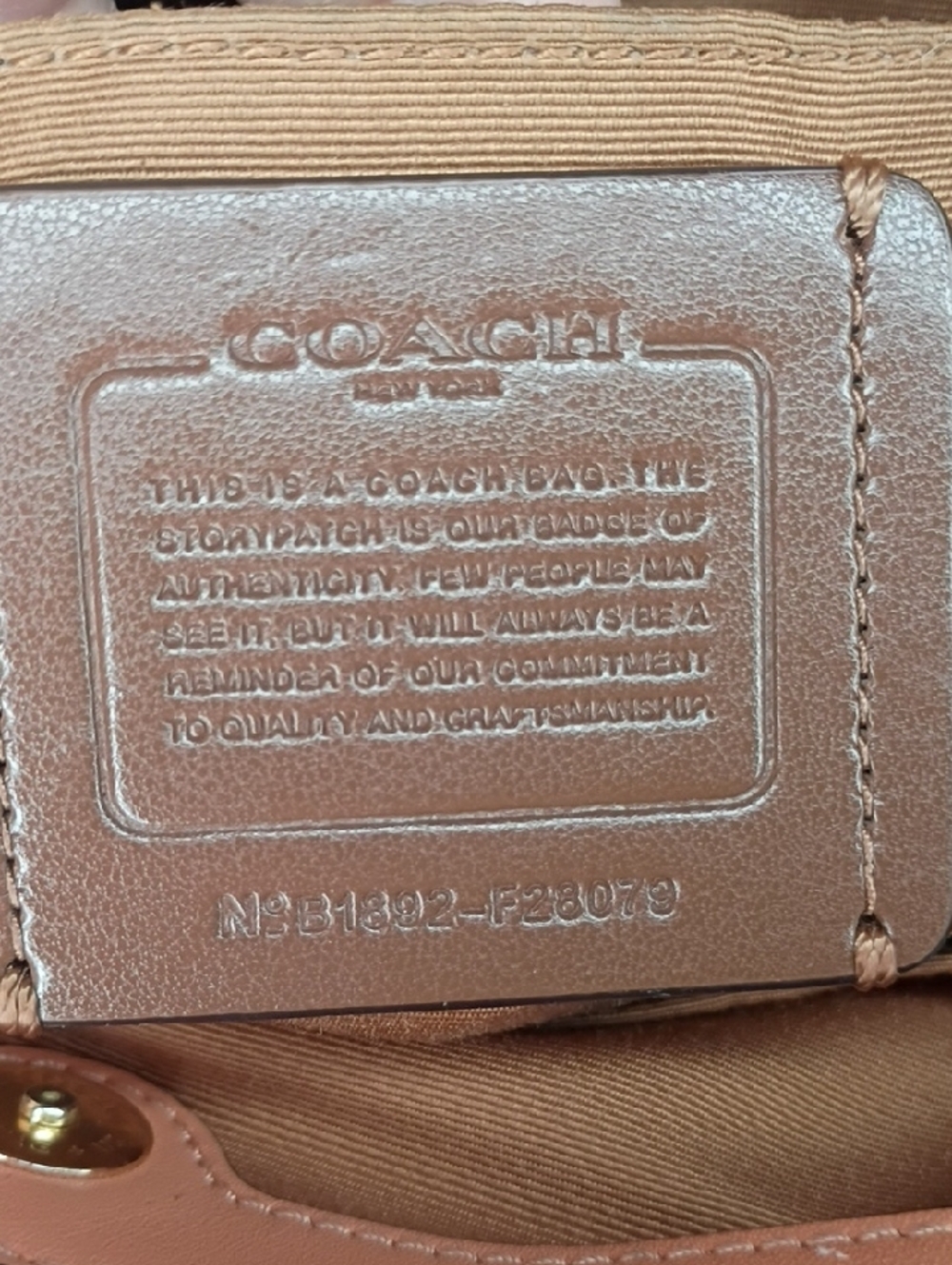 Coach Multicolor Croc Embossed Leather Mini Brooke Carryall handbag - Picture 2 of 14